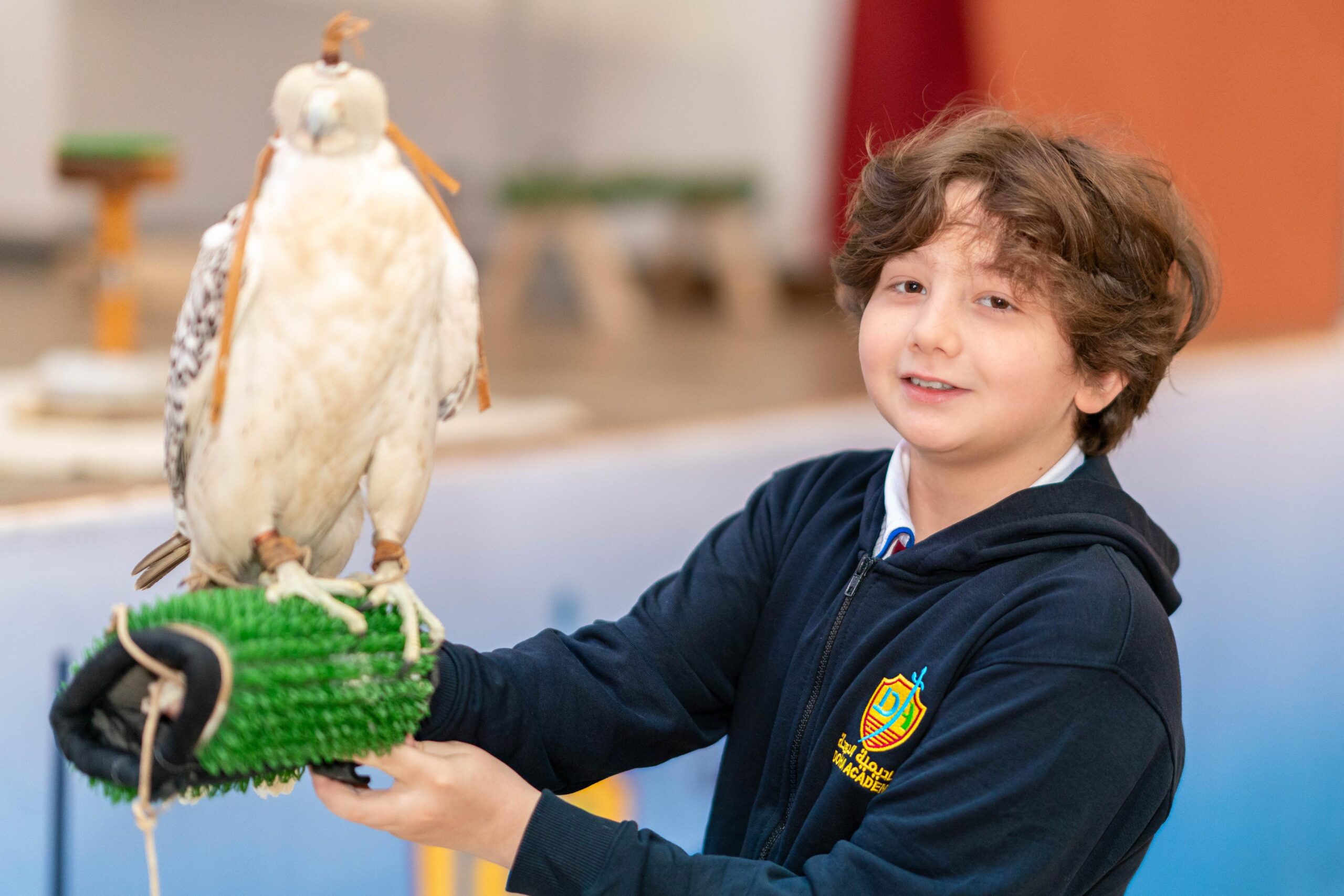 Falconary Presentation